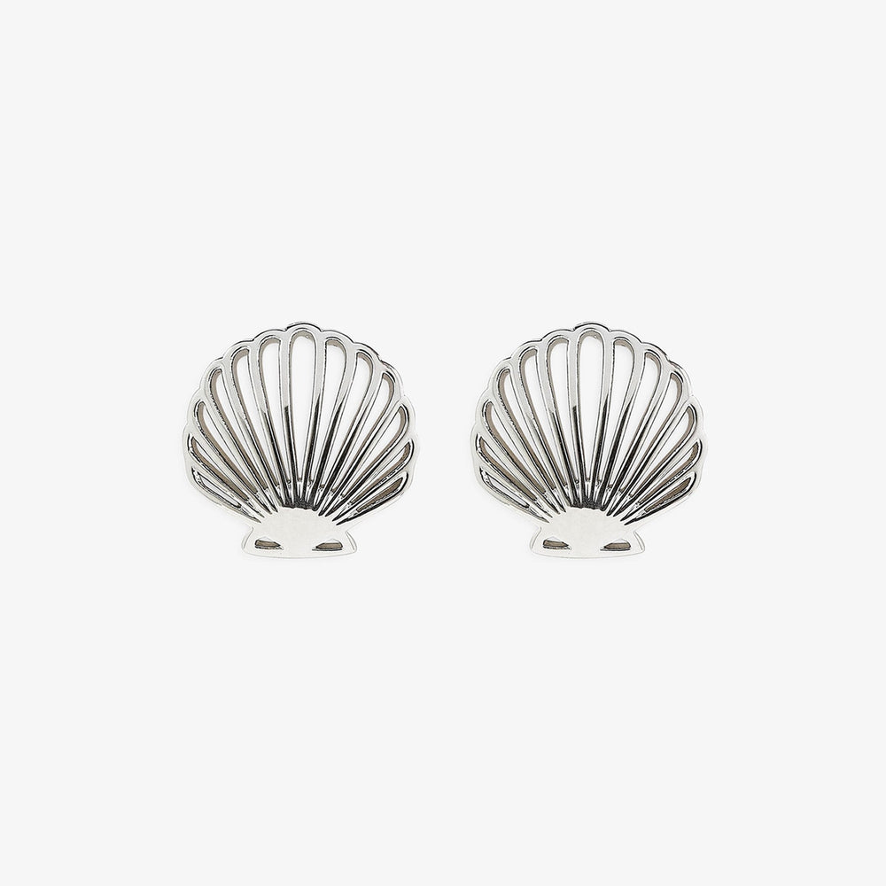Delicate Shell Stud Earrings 1