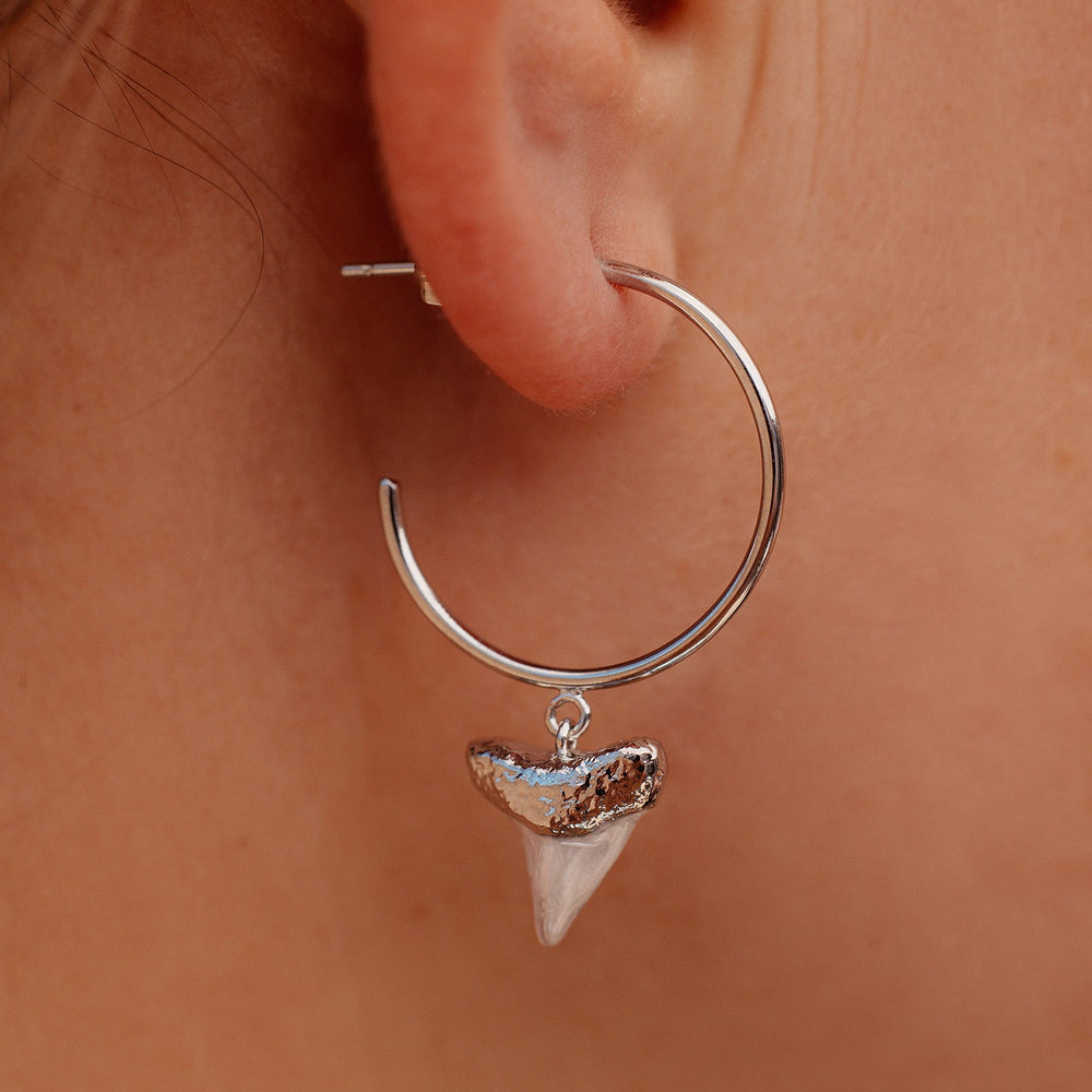 Shark Tooth Hoop Earrings 3