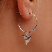 Shark Tooth Hoop Earrings Gallery Thumbnail