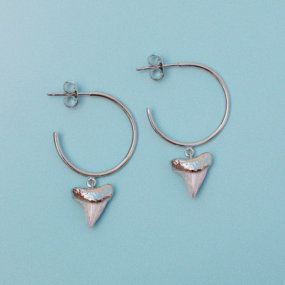 Shark Tooth Hoop Earrings 4