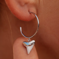 Shark Tooth Hoop Earrings Gallery Thumbnail