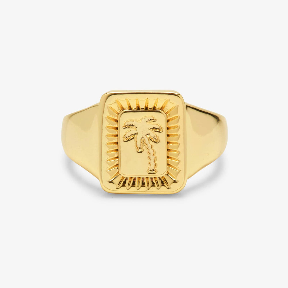 Palm Burst Signet Ring 1