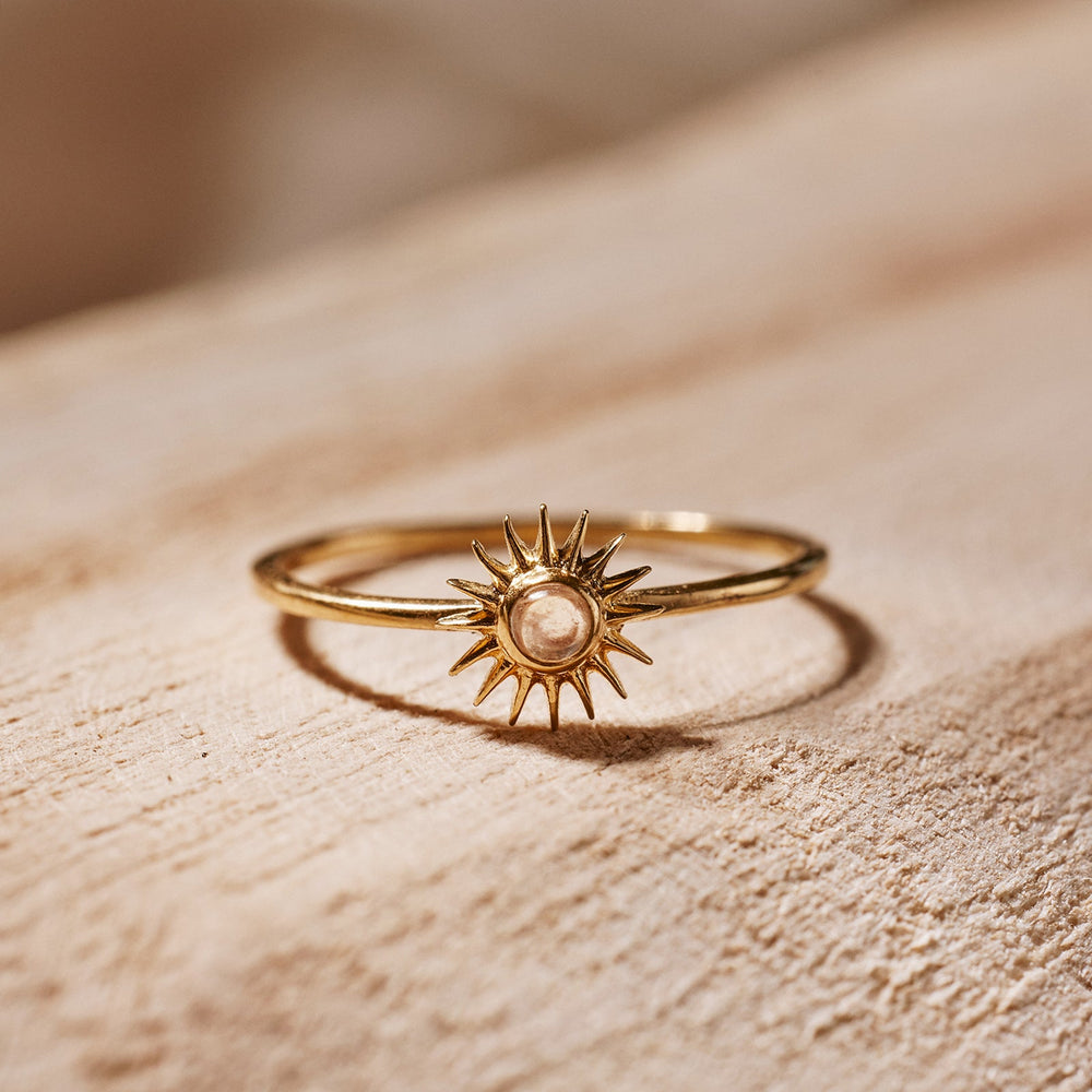 Cute Gold Turtle Ring White Gold Vermeil
