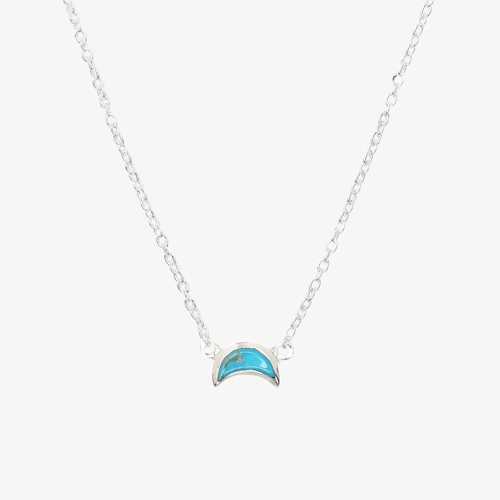 Crescent Moon Necklace 1