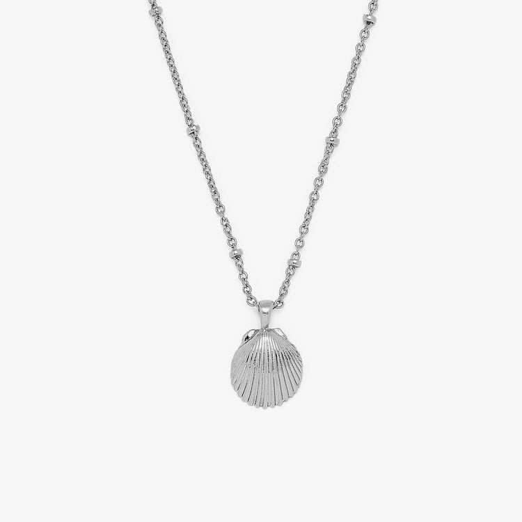 Satellite Shell Pendant Necklace